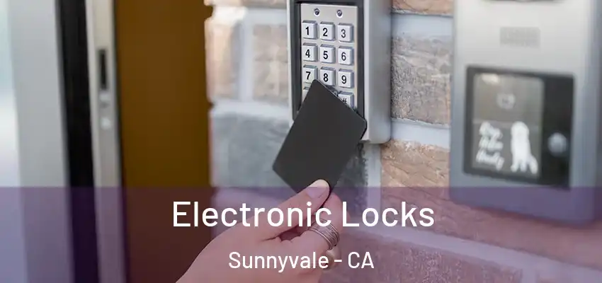  Electronic Locks Sunnyvale - CA