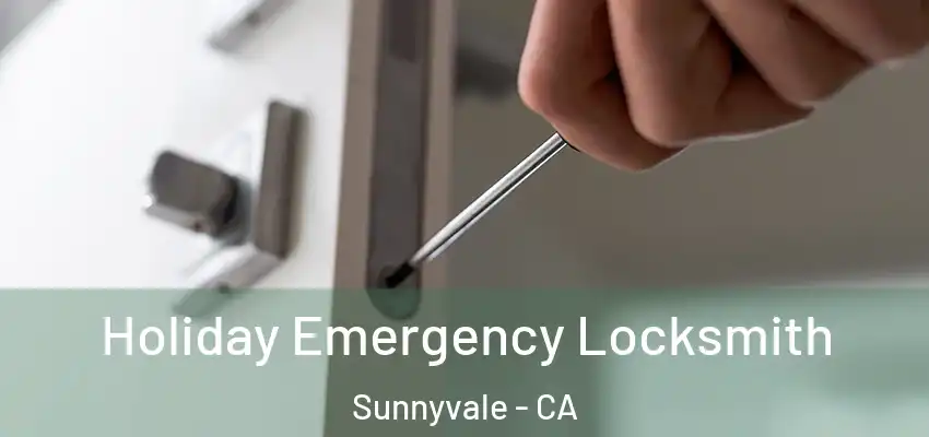  Holiday Emergency Locksmith Sunnyvale - CA