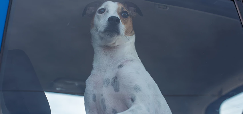 Car Lockout Solutions in Sunnyvale, California